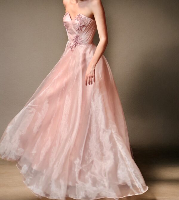 Blush Evening Gown
